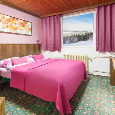 Hotel Tetřeví Boudy