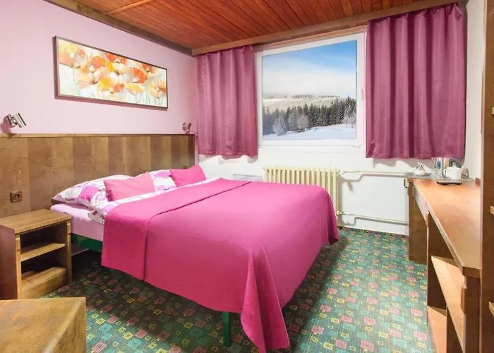 Hotel Tetrevi Boudy